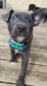 Malone & Michael	Sponsored by Carol Ustipak