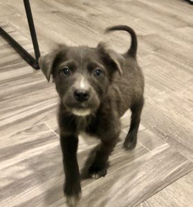 Marcus, Memphis & Morris	Sponsored by Rosemarie Schreier