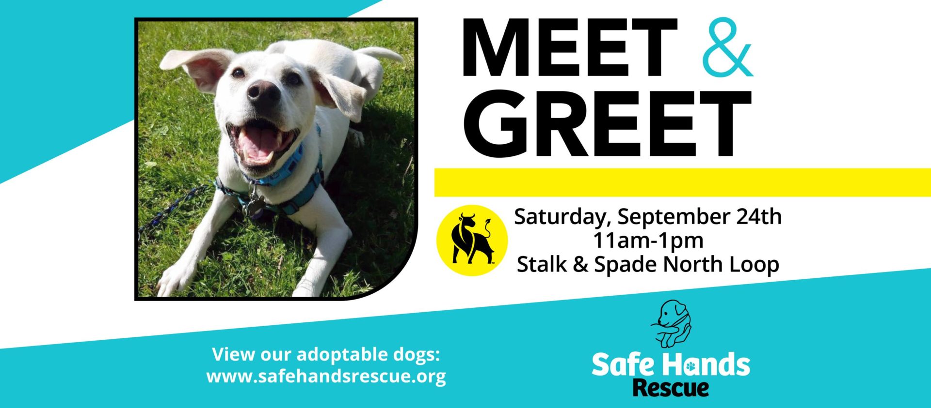 Safe Hands Rescue Meet & Greet at Stalk & Spade Safe Hands Rescue