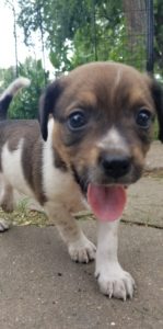 Imogene, Isley, Ione, Indie, Isaac, Imani, Iliana, Iva, Isla, Jordie, Joy, Juby, Juliet, Jillian, Juniper, Jefferson, Jamie, Jensen, Joshua & Jonas	Sponsored by 	Matt Le Duc