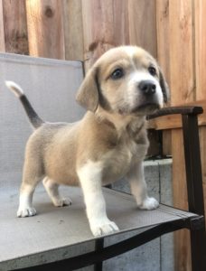 Imogene, Isley, Ione, Indie, Isaac, Imani, Iliana, Iva, Isla, Jordie, Joy, Juby, Juliet, Jillian, Juniper, Jefferson, Jamie, Jensen, Joshua & Jonas	Sponsored by 	Matt Le Duc