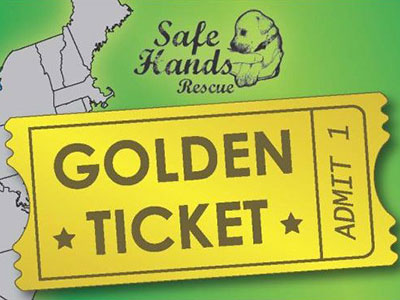 GoldenTicket_banner-1-small