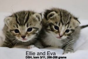 Ellie and Eva 4-5-25