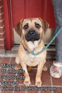 Missy