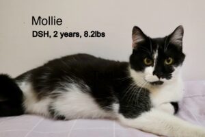 Mollie 4-5-25