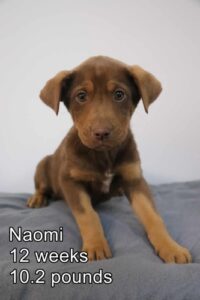 Naomi