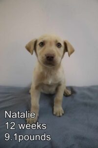 Natalie