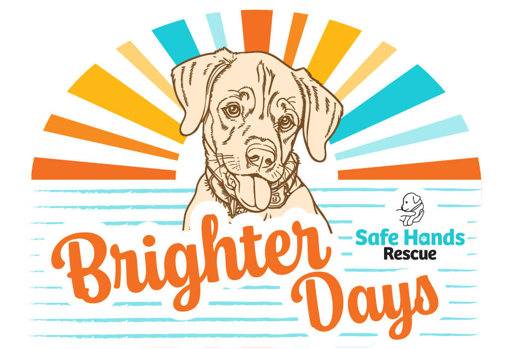 BrighterDaysLogo-Final (1)