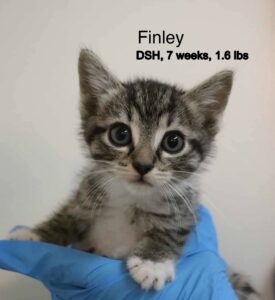 Finley 5-31-25