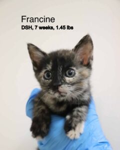 Francine 5-31-25