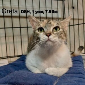 Greta 5-31-25