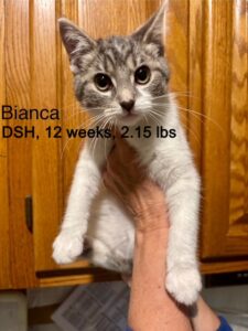 Bianca 11-29-25