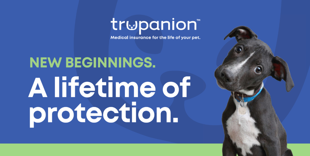 Trupanion -3