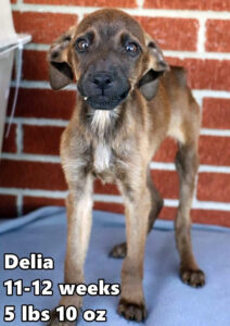 unnamed (13)