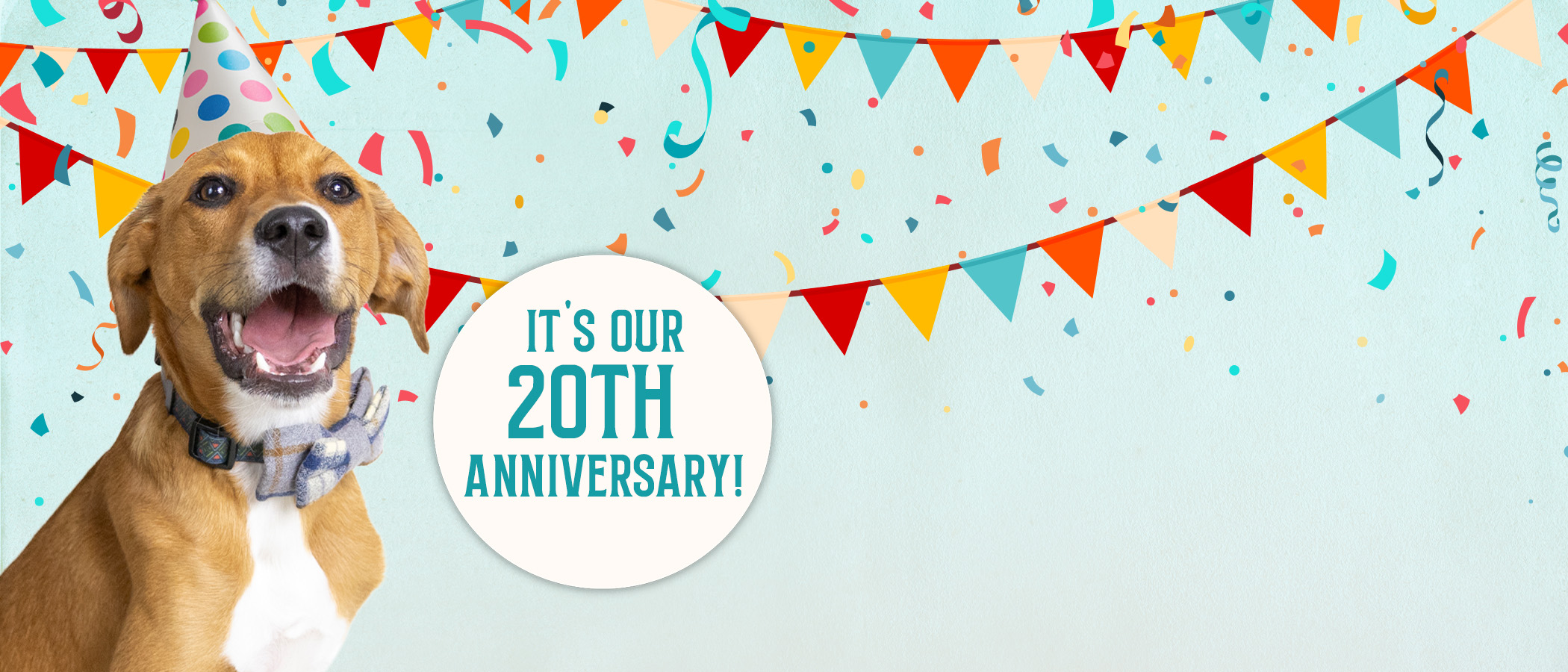 0102 20thAnniversaryWebBanner-2